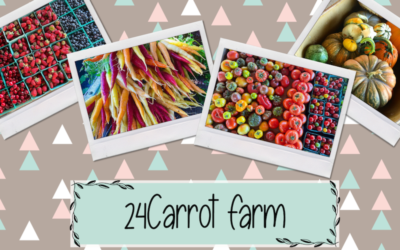 24Carrot Farm