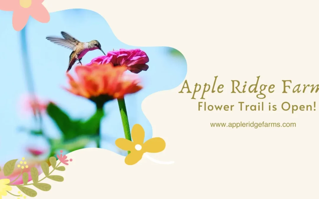 Apple Ridge Farms’ Flower Trail