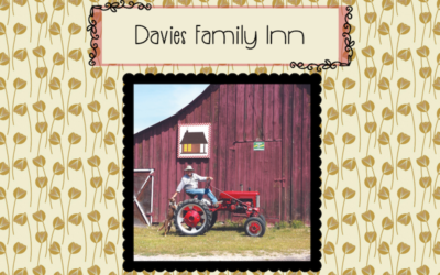 “Davies Cabin” – The Davies Family Inn