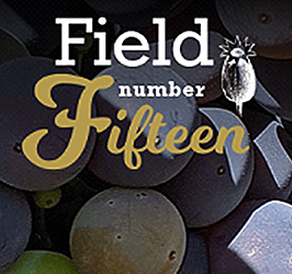 Field Number Fifteen El Dorado County | Farm Trails El Dorado County
