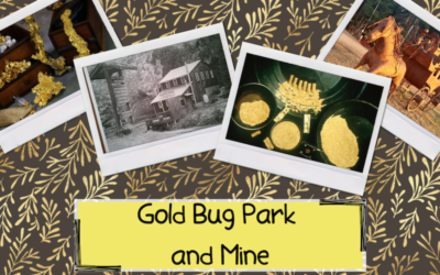 Gold Bug Park and Mine