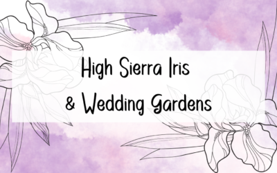 High Sierra Iris & Wedding Gardens 2022