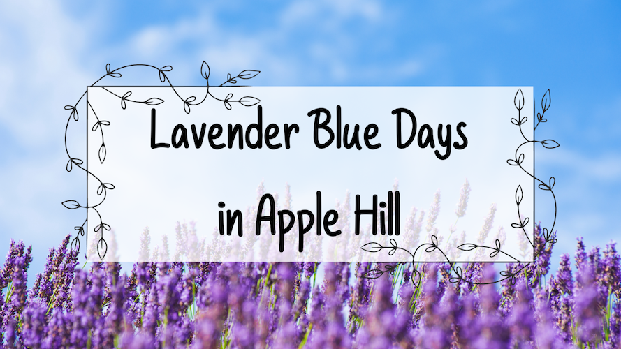 Lavender Blue Days in Apple Hill 2022 | Farm Trails El Dorado County