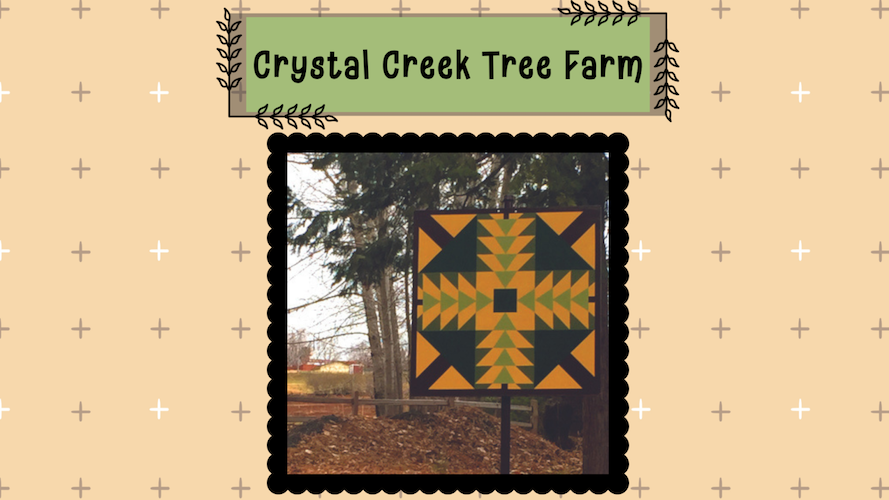 “Pine Tree” Crystal Creek Tree Farm | Farm Trails El Dorado County