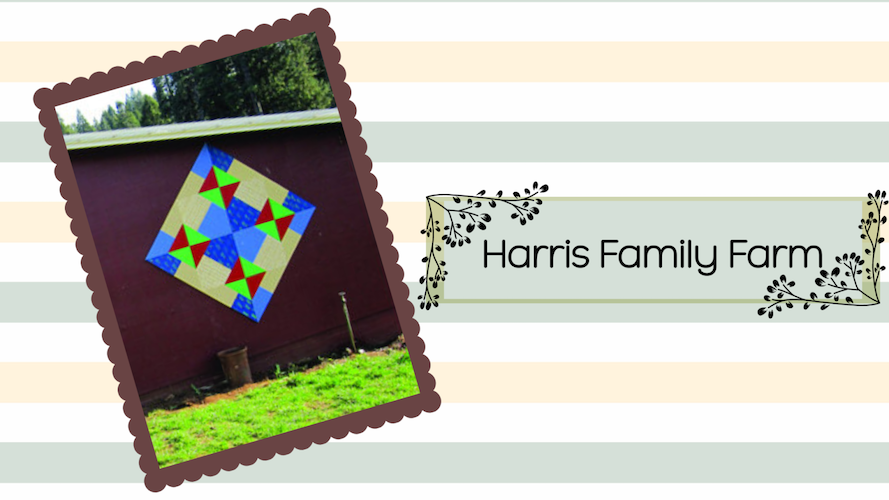 “Scottish Cross” – Harris Family Farm