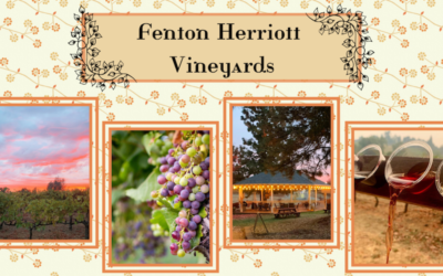 The Fenton Herriott Vineyards