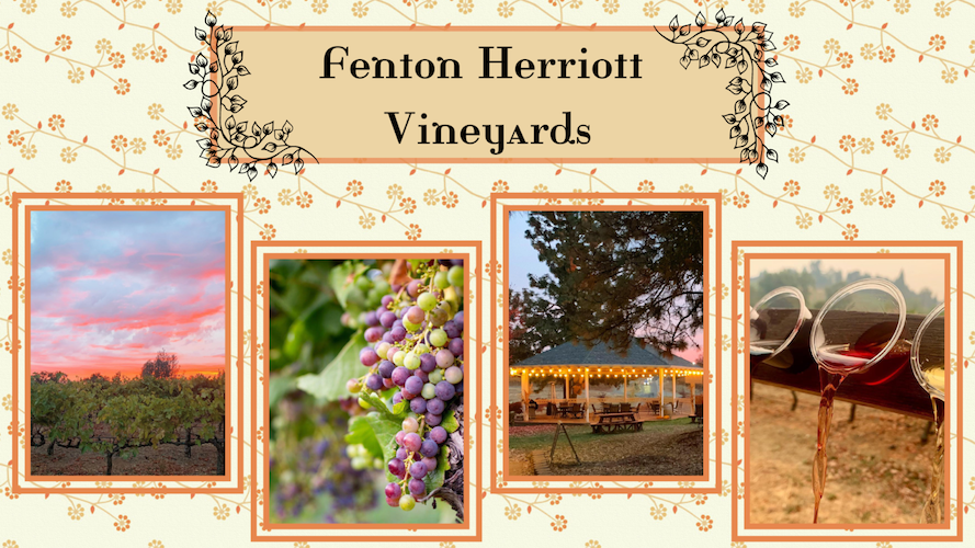 The Fenton Herriott Vineyards | El Dorado County Farm Trails