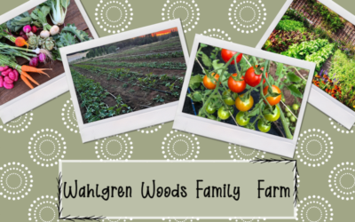 Wahlgren Woods Family Farm