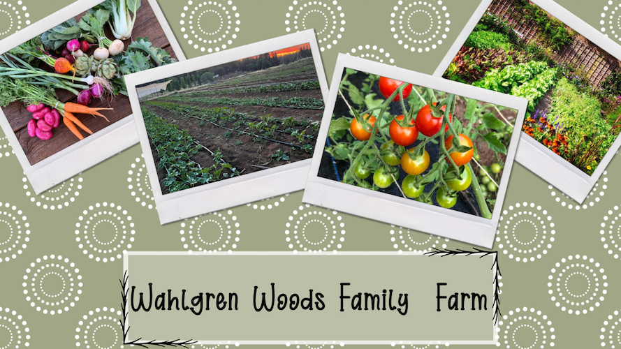 Wahlgren Woods Family Farm | El Dorado County Farm Trails