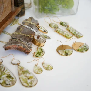 Seed & Soil