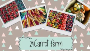 24Carrot Farm | El Dorado County Farm Trails