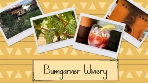 Bumgarner Winery | El Dorado County Farm Trails