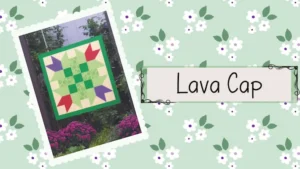 Summer Blooms Lava Cap Winery | El Dorado County Farm Trails