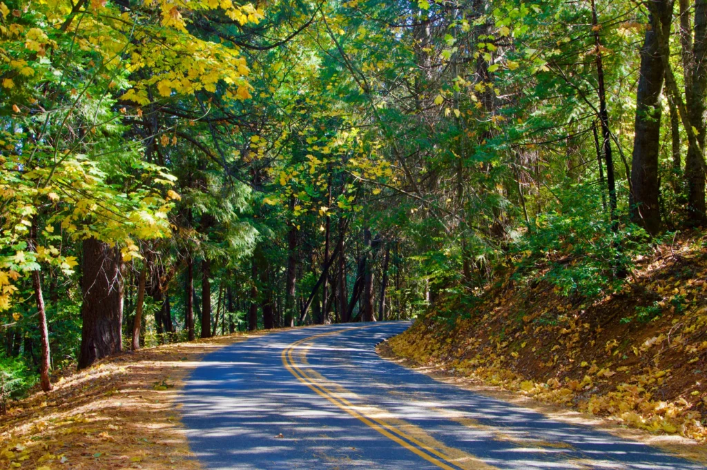 Visit El Dorado County | Wineries, Breweries, & Apple Farms El Dorado County Footer