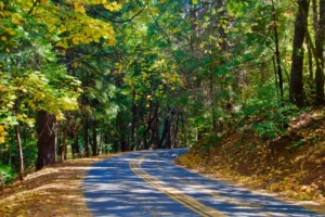 Visit El Dorado County | Wineries, Breweries, & Apple Farms El Dorado County Footer