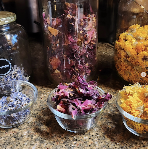 Williams Botanicals Placerville