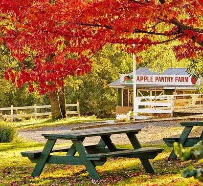 Apple Pantry | Apple Hill Farm in Camino